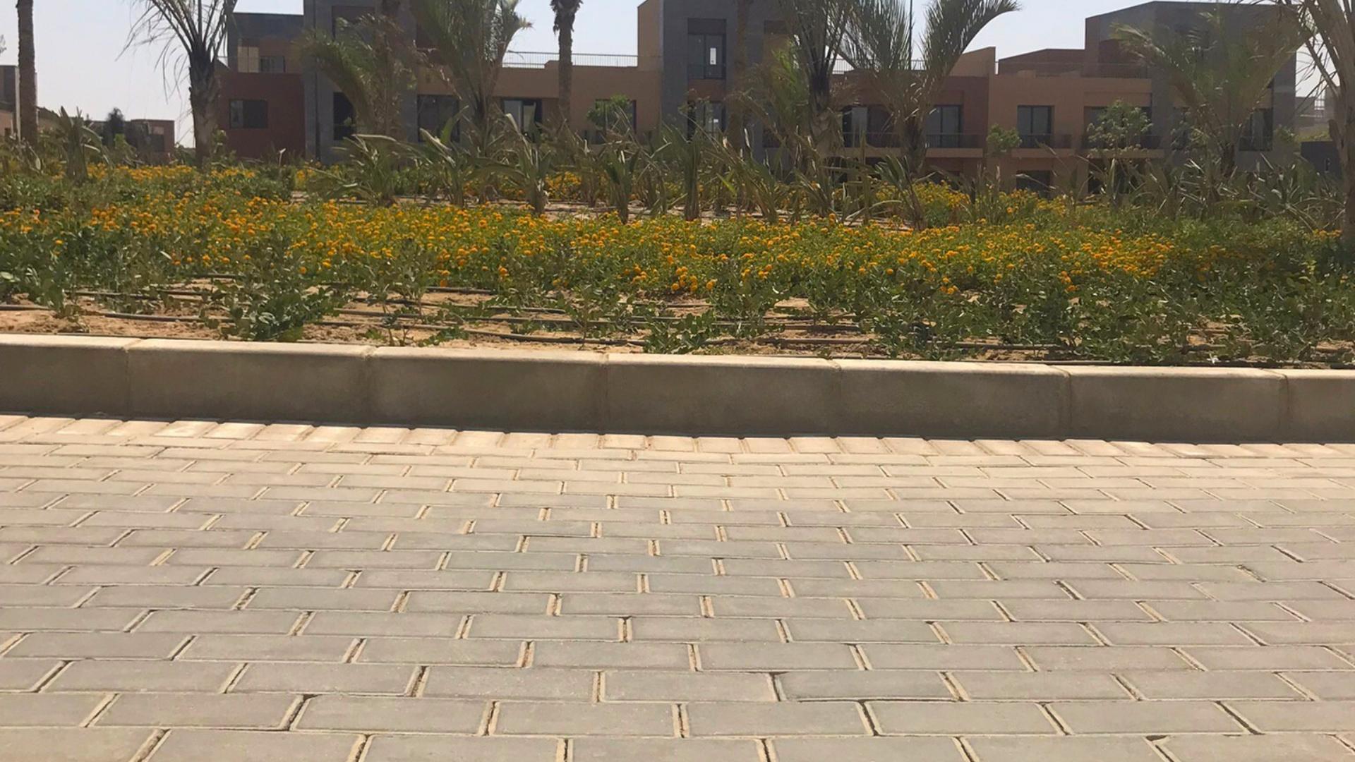 WhatsApp Image 2025-07-23 at 11.25.06 AM