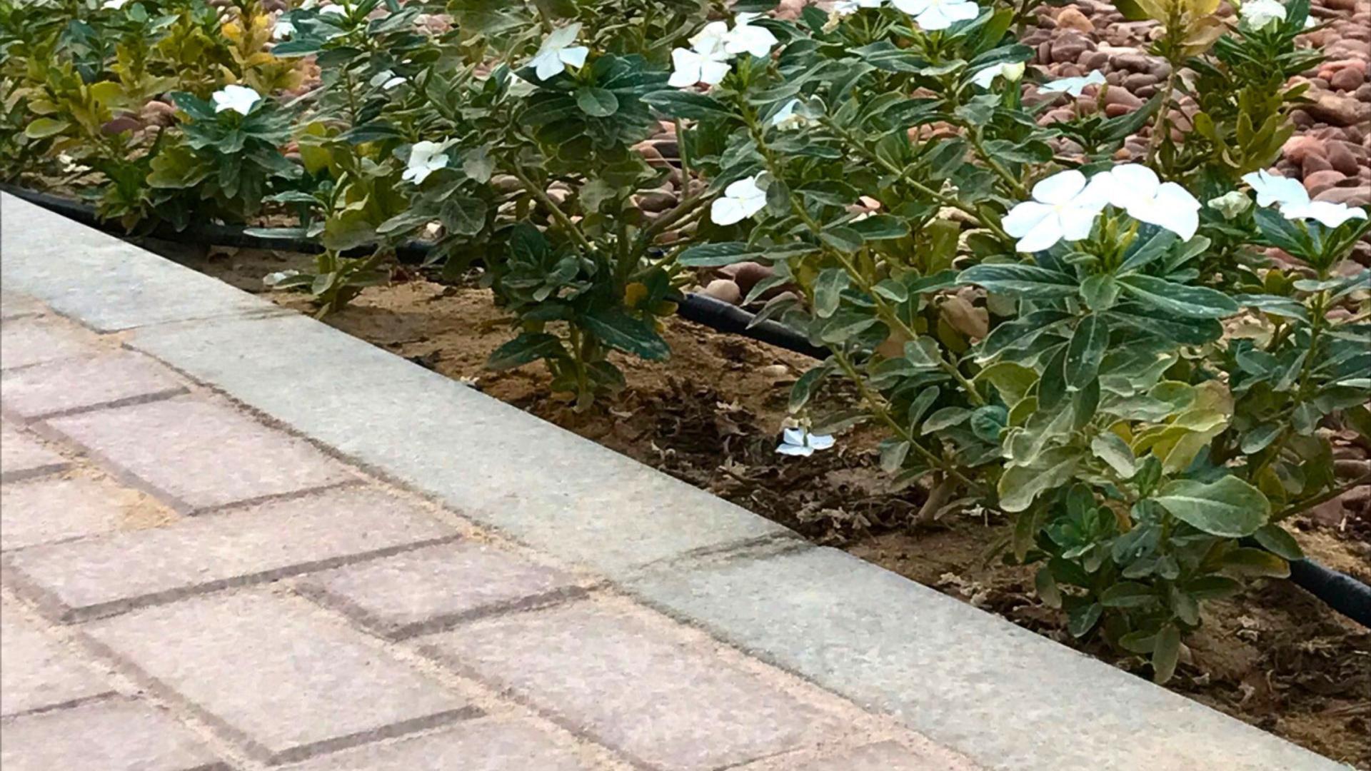 WhatsApp Image 2025-07-23 at 11.25.09 AM