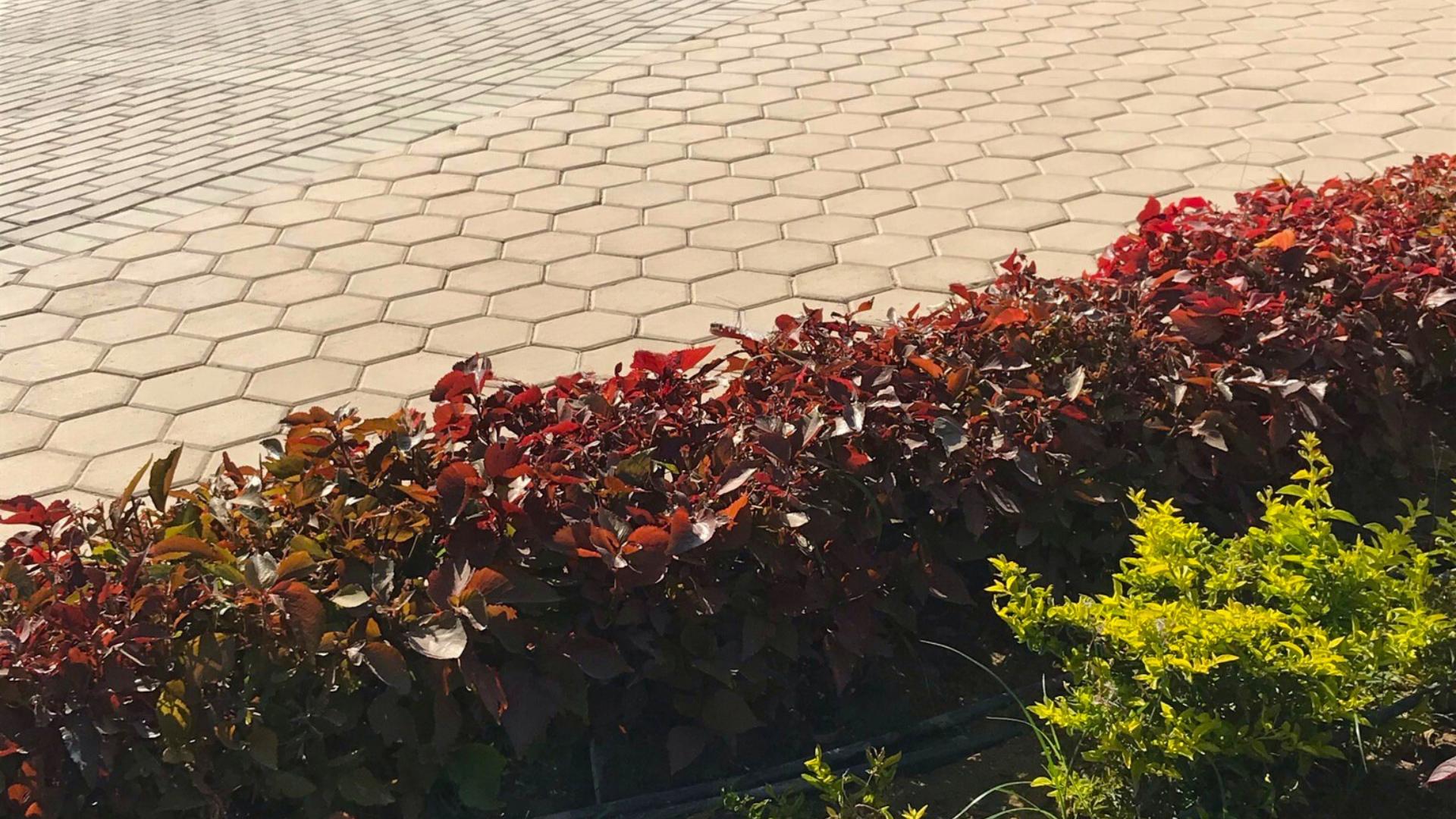 WhatsApp Image 2025-07-23 at 11.25.11 AM