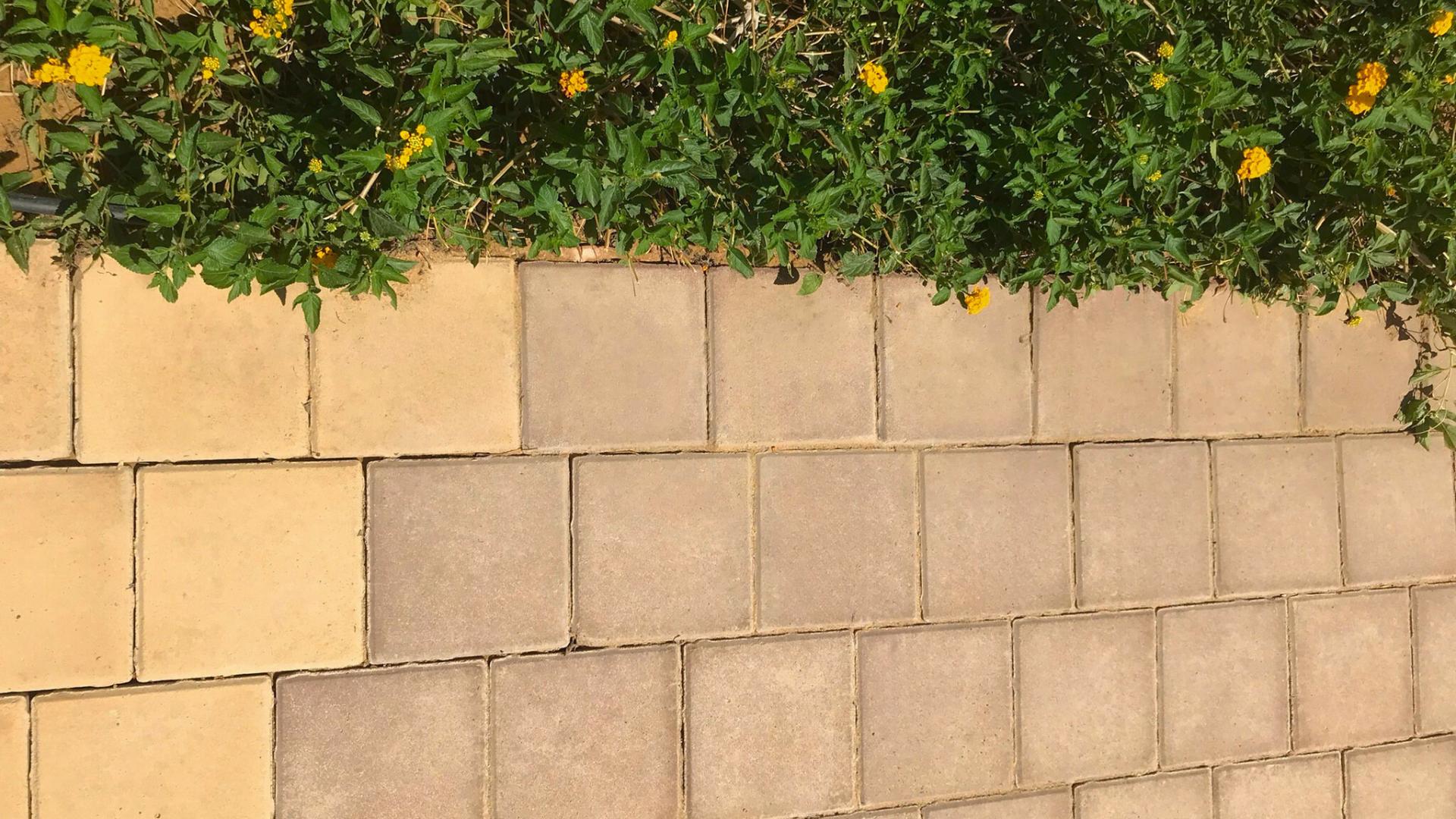 WhatsApp Image 2025-07-23 at 11.25.12 AM