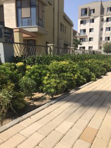 فيليت سوديك